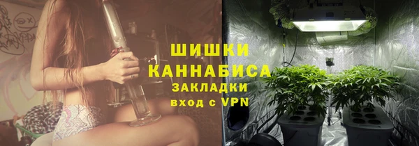 стаф Аркадак