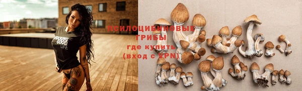 шишки Армянск