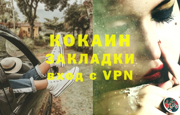 шишки Армянск