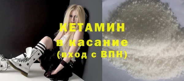 стаф Аркадак