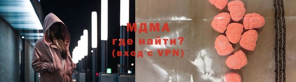 стаф Аркадак