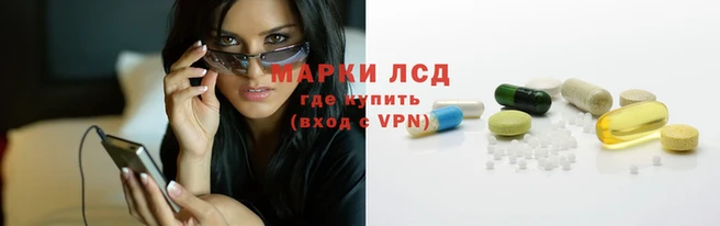 стаф Аркадак