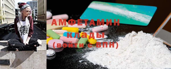 стаф Аркадак