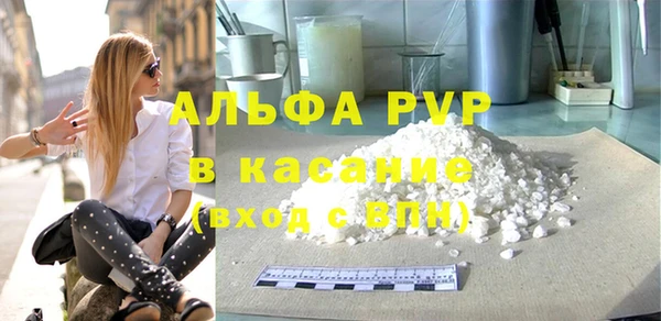 стаф Аркадак