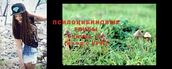 ГАЛЛЮЦИНОГЕННЫЕ ГРИБЫ Усолье-Сибирское