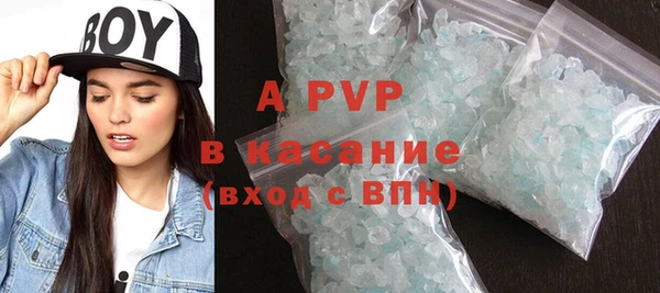 стаф Аркадак