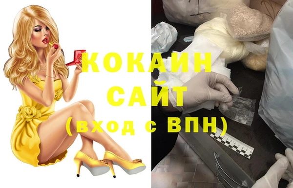 шишки Армянск