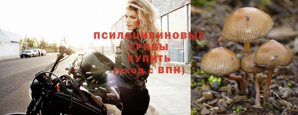шишки Армянск